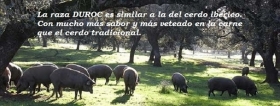 NUESTRA EMPRESA - Productos Carnicos  El Encinar